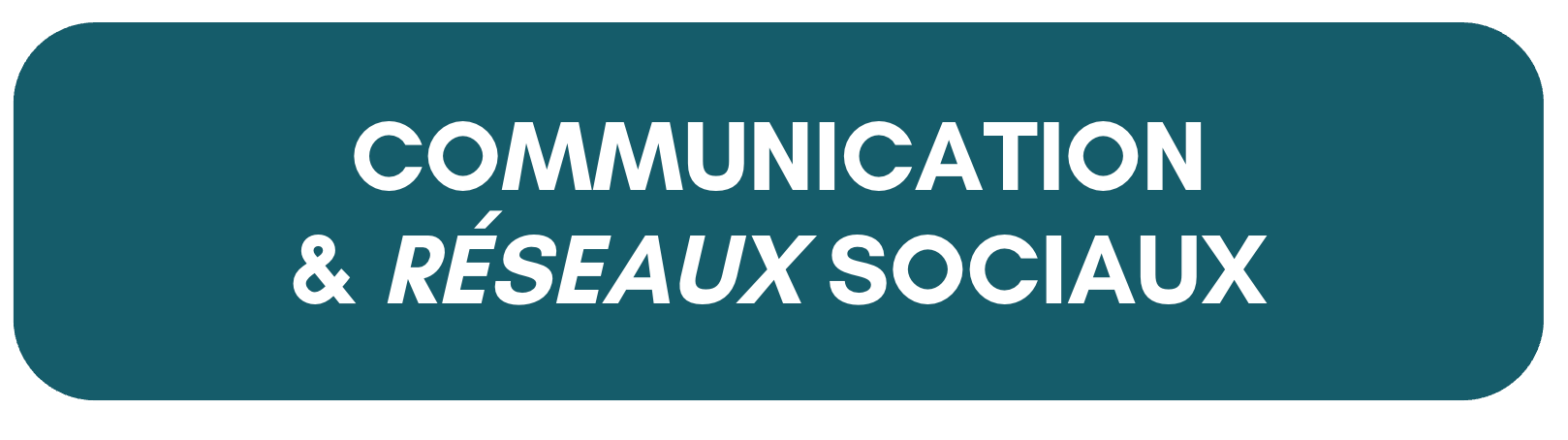 TITRE RESEAUX SOCIAUX COMMUNICATION TOULOUSE