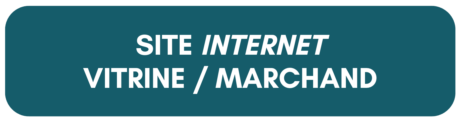 TITRE SITE WEB VITRINE OU MARCHAND